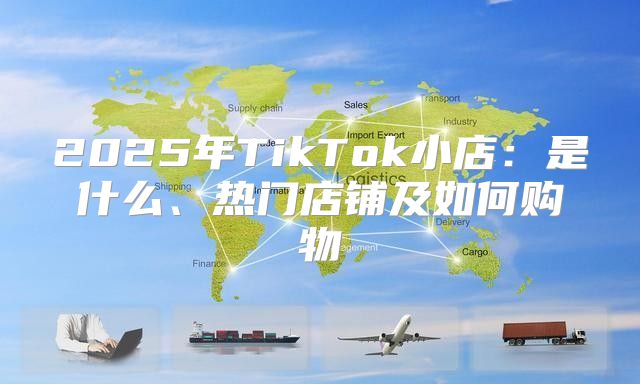 2025年TikTok小店：是什么、热门店铺及如何购物