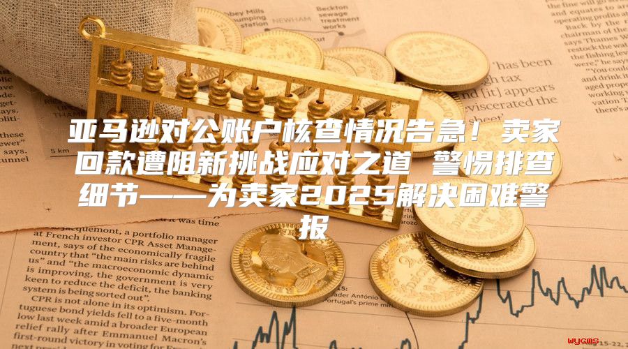 亚马逊对公账户核查情况告急！卖家回款遭阻新挑战应对之道 警惕排查细节——为卖家2025解决困难警报