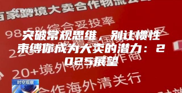 突破常规思维，别让惯性束缚你成为大卖的潜力：2025展望