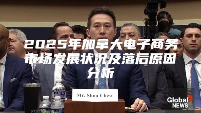 2025年加拿大电子商务市场发展状况及落后原因分析