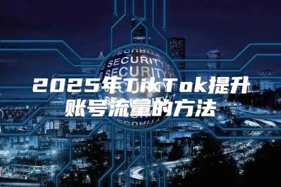 2025年TikTok提升账号流量的方法