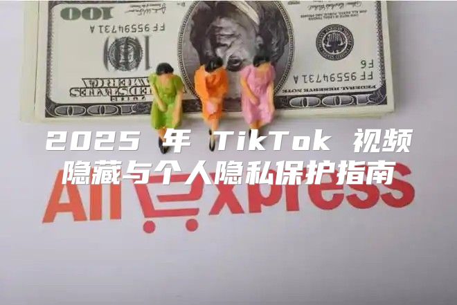 2025 年 TikTok 视频隐藏与个人隐私保护指南