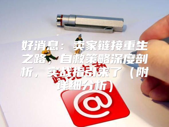 好消息：卖家链接重生之路，自救策略深度剖析，实战指引来了附详细分析