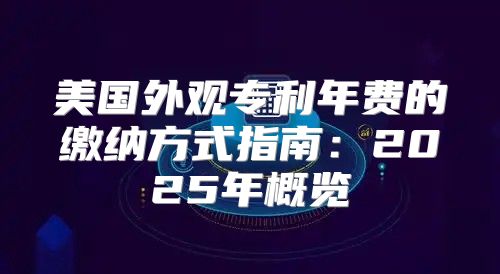 美国外观专利年费的缴纳方式指南：2025年概览