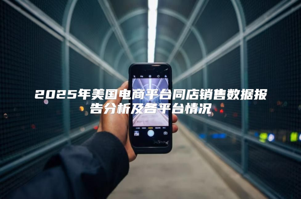 2025年美国电商平台同店销售数据报告分析及各平台情况