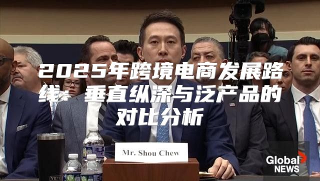 2025年跨境电商发展路线：垂直纵深与泛产品的对比分析