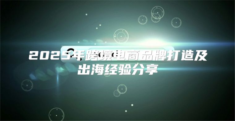 2025年跨境电商品牌打造及出海经验分享