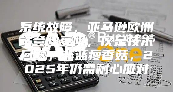 系统故障，亚马逊欧洲站登陆受阻，仅是技术问题，非蓝瘦香菇，2025年仍需耐心应对