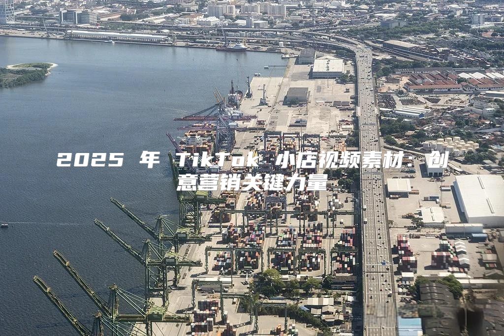 2025 年 TikTok 小店视频素材：创意营销关键力量