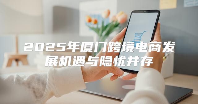 2025年厦门跨境电商发展机遇与隐忧并存