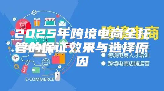 2025年跨境电商全托管的保证效果与选择原因