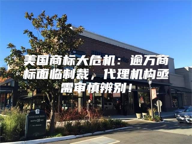 美国商标大危机：逾万商标面临制裁，代理机构亟需审慎辨别！
