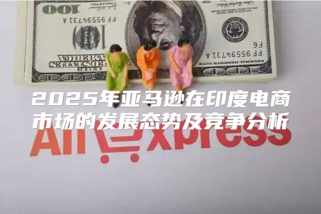 2025年亚马逊在印度电商市场的发展态势及竞争分析