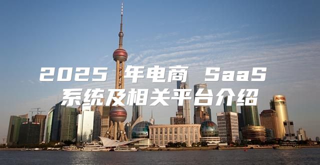 2025 年电商 SaaS 系统及相关平台介绍