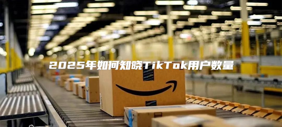 2025年如何知晓TikTok用户数量
