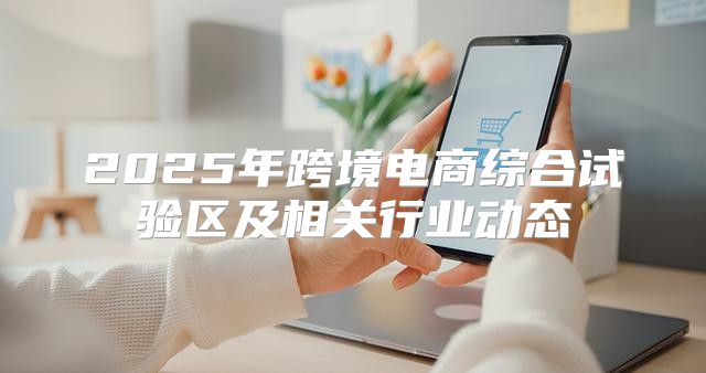 2025年跨境电商综合试验区及相关行业动态