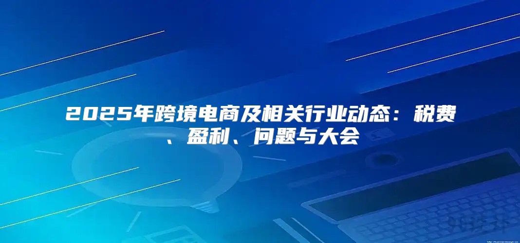 2025年跨境电商及相关行业动态：税费、盈利、问题与大会