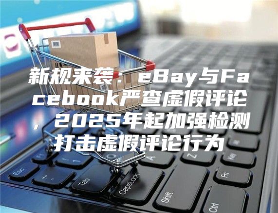 新规来袭：eBay与Facebook严查虚假评论，2025年起加强检测打击虚假评论行为