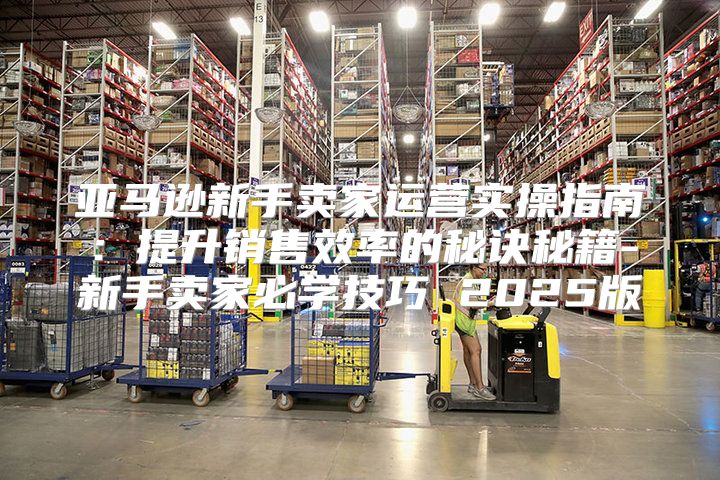 亚马逊新手卖家运营实操指南：提升销售效率的秘诀秘籍-新手卖家必学技巧 2025版