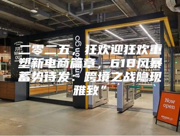 二零二五，狂欢迎狂欢重塑新电商篇章，618风暴蓄势待发：跨境之战隐现雅致”
