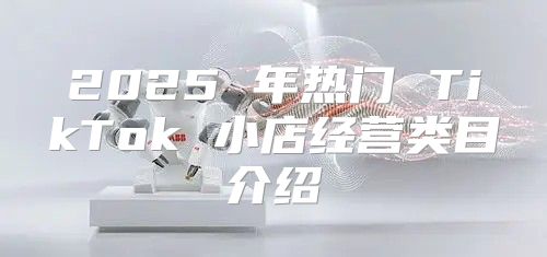 2025 年热门 TikTok 小店经营类目介绍