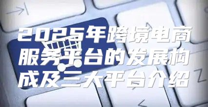 2025年跨境电商服务平台的发展构成及三大平台介绍