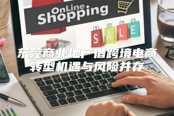 东莞商业地产借跨境电商转型机遇与风险并存