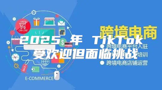 2025 年 TikTok 受欢迎但面临挑战
