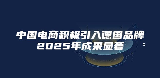 中国电商积极引入德国品牌2025年成果显著