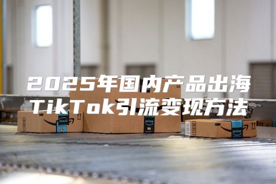 2025年国内产品出海TikTok引流变现方法