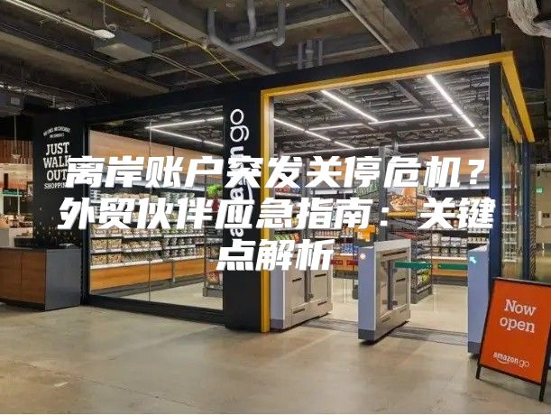 离岸账户突发关停危机？外贸伙伴应急指南：关键点解析