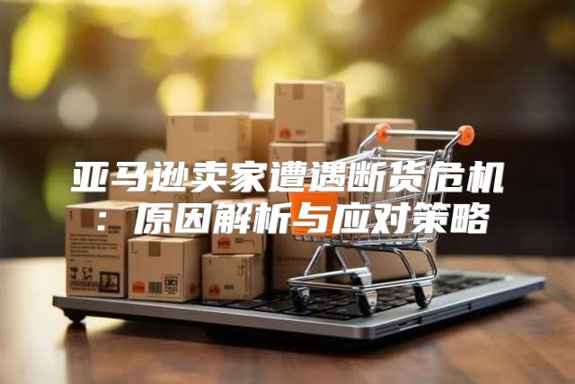 亚马逊卖家遭遇断货危机：原因解析与应对策略