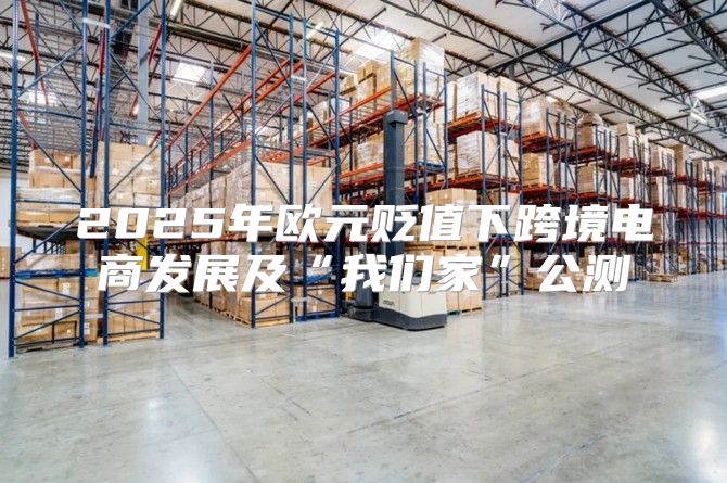 2025年欧元贬值下跨境电商发展及“我们家”公测