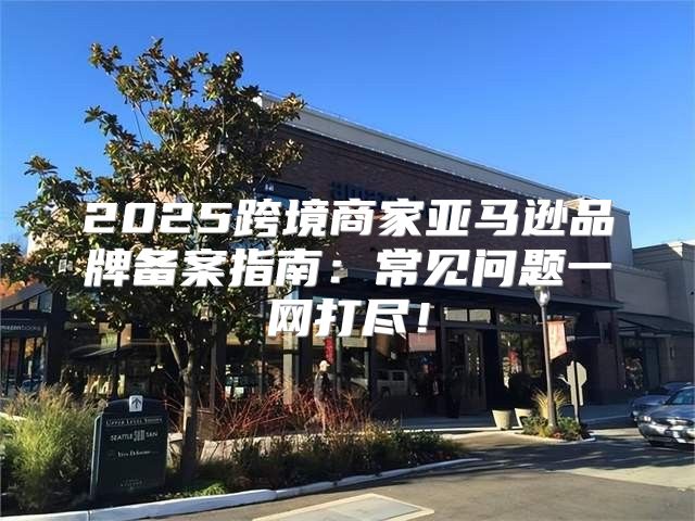 2025跨境商家亚马逊品牌备案指南：常见问题一网打尽！