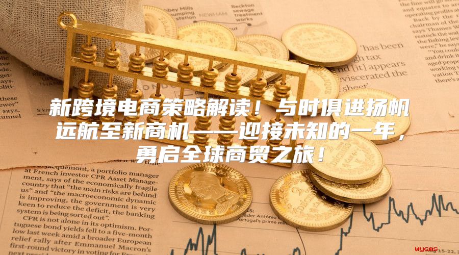 新跨境电商策略解读！与时俱进扬帆远航至新商机——迎接未知的一年，勇启全球商贸之旅！
