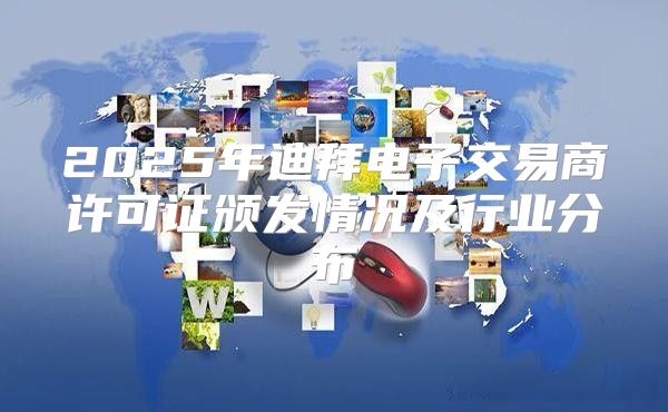 2025年迪拜电子交易商许可证颁发情况及行业分布