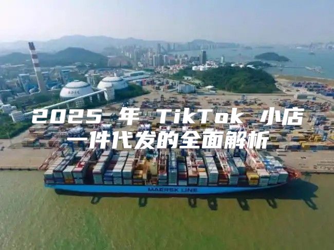 2025 年 TikTok 小店一件代发的全面解析