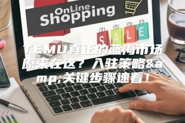 TEMU真正的蓝海市场原来在这？入驻策略&amp;关键步骤速看！