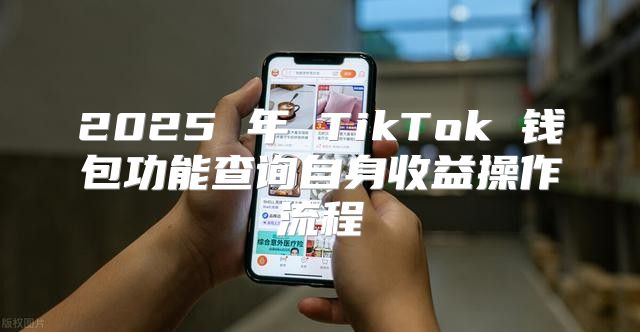 2025 年 TikTok 钱包功能查询自身收益操作流程
