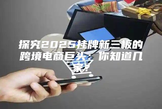 探究2025挂牌新三板的跨境电商巨头：你知道几家？