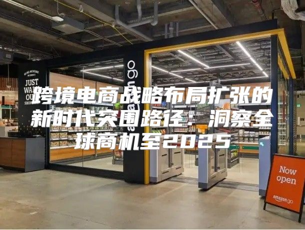 跨境电商战略布局扩张的新时代突围路径：洞察全球商机至2025