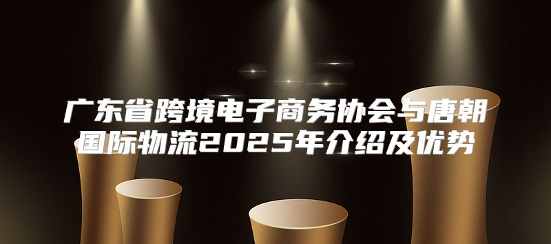 广东省跨境电子商务协会与唐朝国际物流2025年介绍及优势