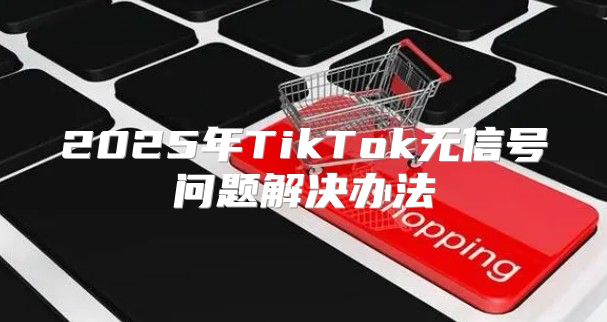 2025年TikTok无信号问题解决办法