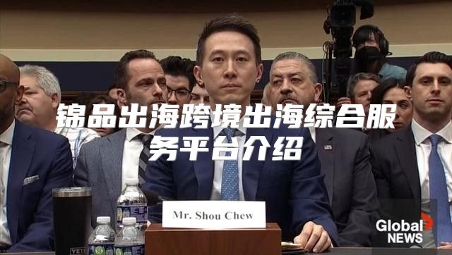 锦品出海跨境出海综合服务平台介绍