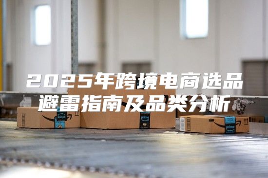 2025年跨境电商选品避雷指南及品类分析