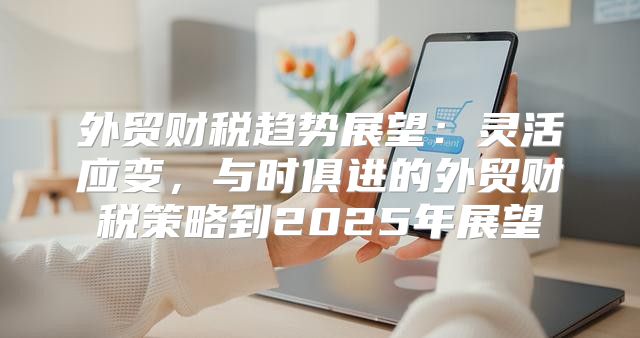 外贸财税趋势展望：灵活应变，与时俱进的外贸财税策略到2025年展望