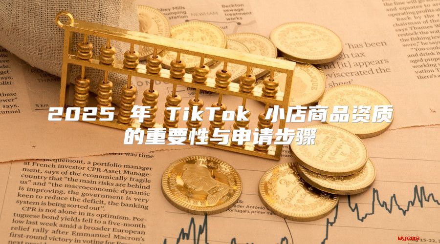 2025 年 TikTok 小店商品资质的重要性与申请步骤