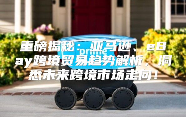 重磅揭秘：亚马逊、eBay跨境贸易趋势解析，洞悉未来跨境市场走向！