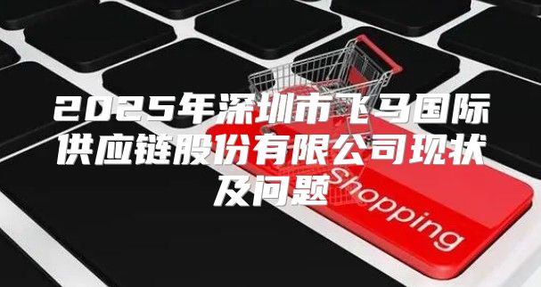 2025年深圳市飞马国际供应链股份有限公司现状及问题