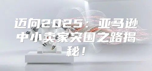 迈向2025亚马逊中小卖家突围之路揭秘！